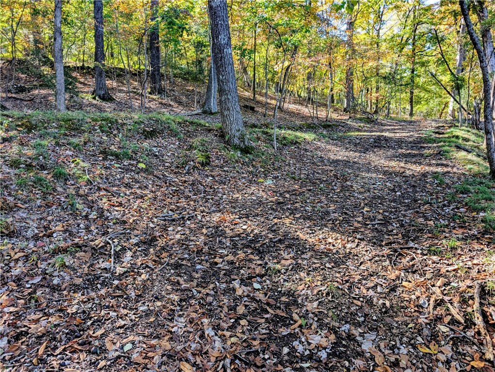 Lost Bridge Village Rurban - Land