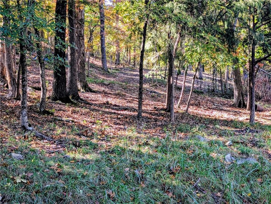 Three buildable, contiguous lots totaling 0.57 acres!  Lots are partially cleared, ready to build.  Enjoy all of the beauty and excitement of Lake Living in the coveted subdivision of Lost Bridge Village.  Lots are across the street from the Lake with seasonal views.  Enjoy all that Lost Bridge has to offer, including public utilities, paved roads, pickleball courts, pool with pool/rec house, and village hall with library.  Just minutes away from Lost Bridge North Marina.