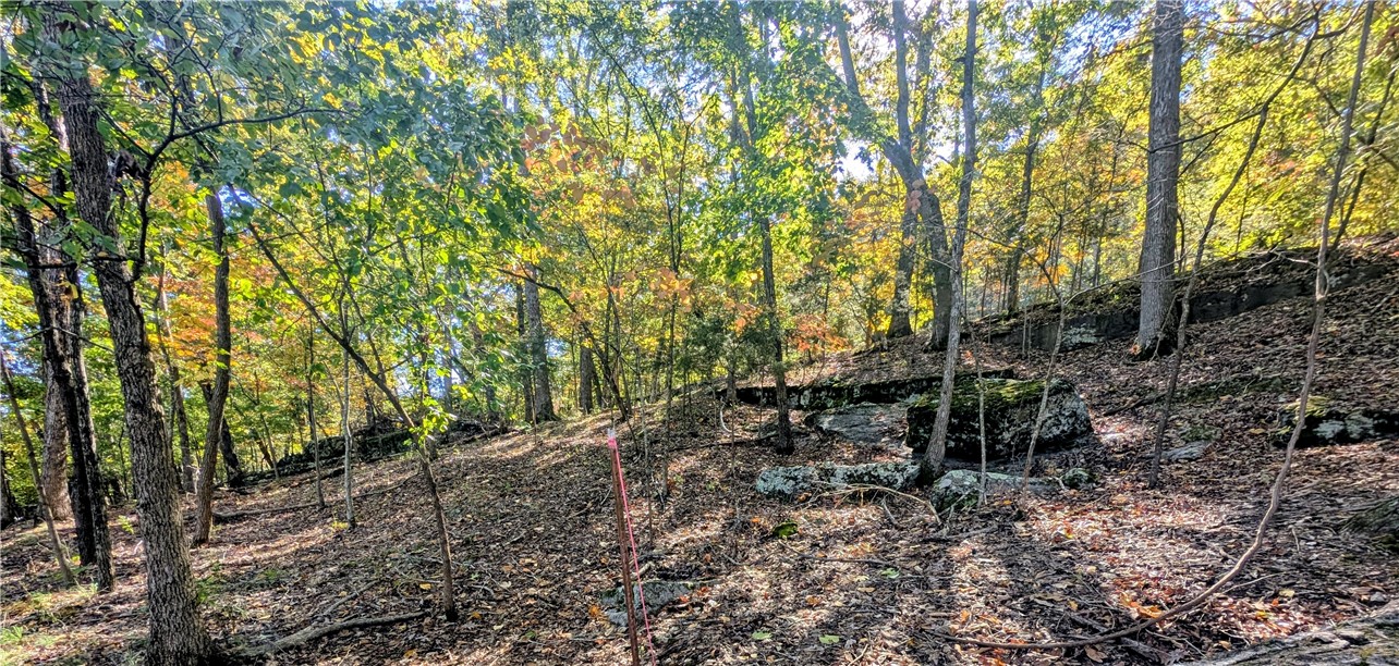 Lost Bridge Village Rurban - Land