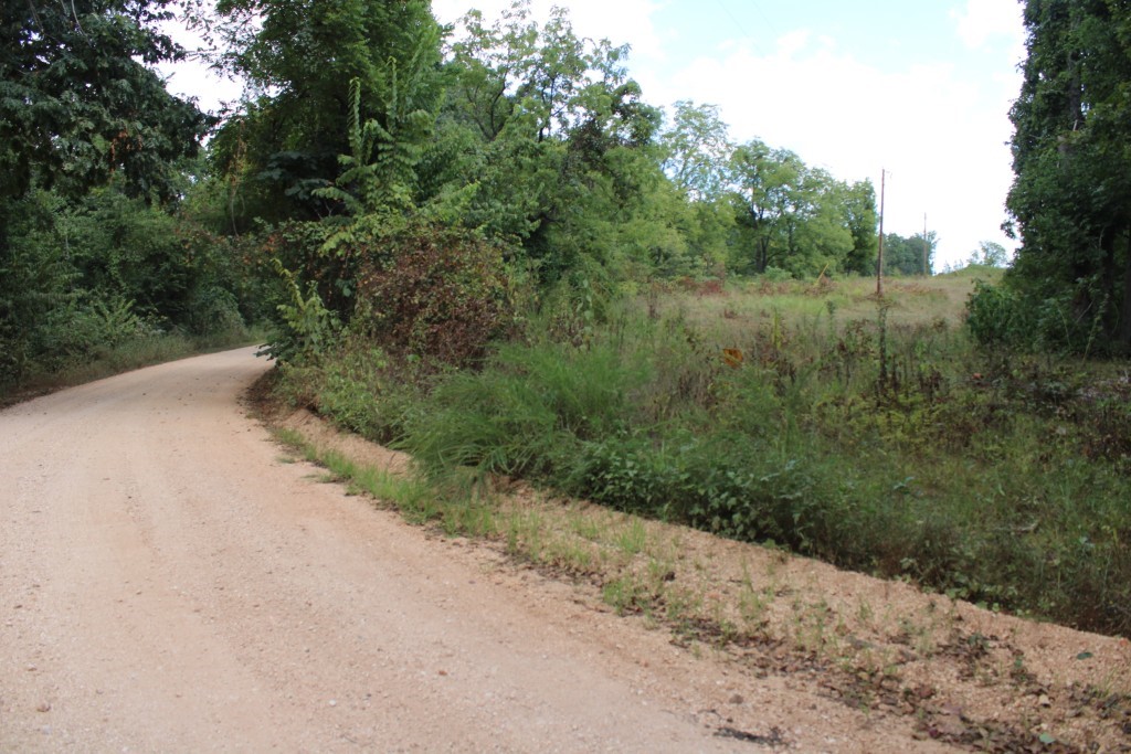 Your Piece of the Ozarks - 10 Acres near Gilbert and Buffalo National River - land has good county road frontage, electric and public water available, about 3-4 acres open, balance wooded. Property has some southern exposure, has good view and is gently rolling with nice homesites to choose from, land becomes sloping to steep toward the back, plenty of wildlife and property is only 1/4 mile north of Buffalo National River Parkland and about 2,100 feet from the river as the crow flies, about 3 miles by road to Gilbert landing. Seller to provide survey at closing, aerial sketch in Documents. Come See It Now!!