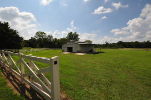 Savannah - Residential