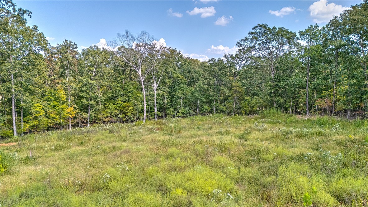 Hickory Hollow Sub - Land