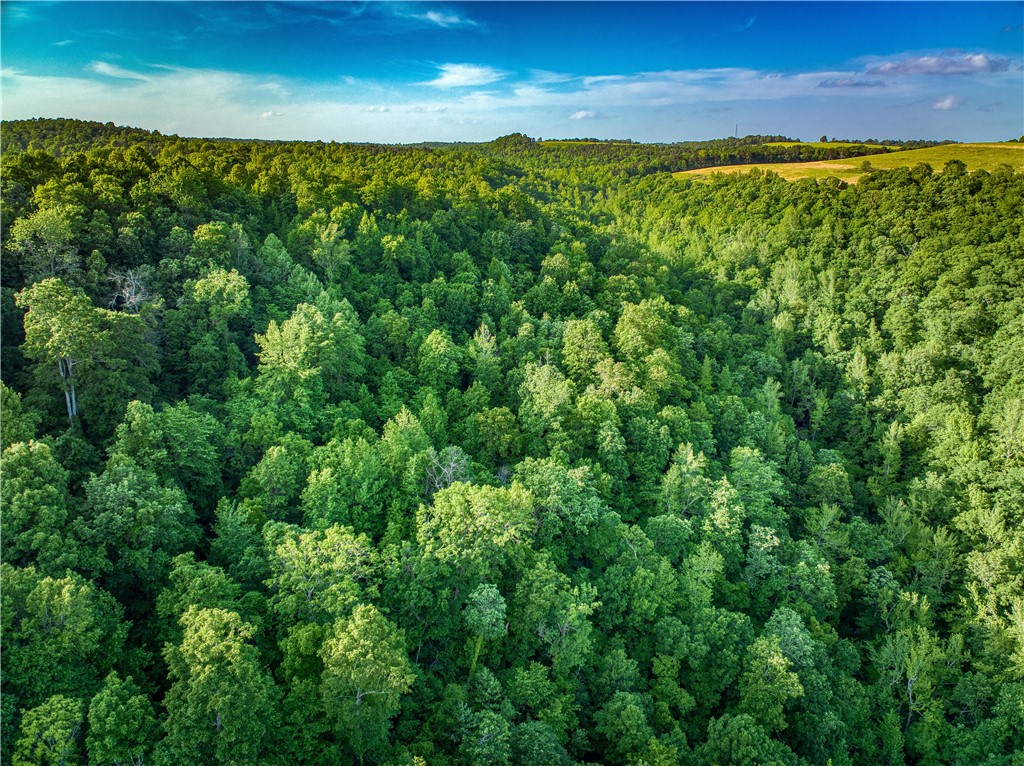 Discover the perfect escape with this 20-acre tract of secluded land nestled in the heart of beautiful Searcy County. Featuring serene creek frontage and surrounded by natural beauty, this property offers endless possibilities—build your dream cabin, enjoy quiet weekends off-grid, or use it as your private hunting retreat. Abundant wildlife, peaceful surroundings. Don’t miss your chance to own a piece of Arkansas paradise!