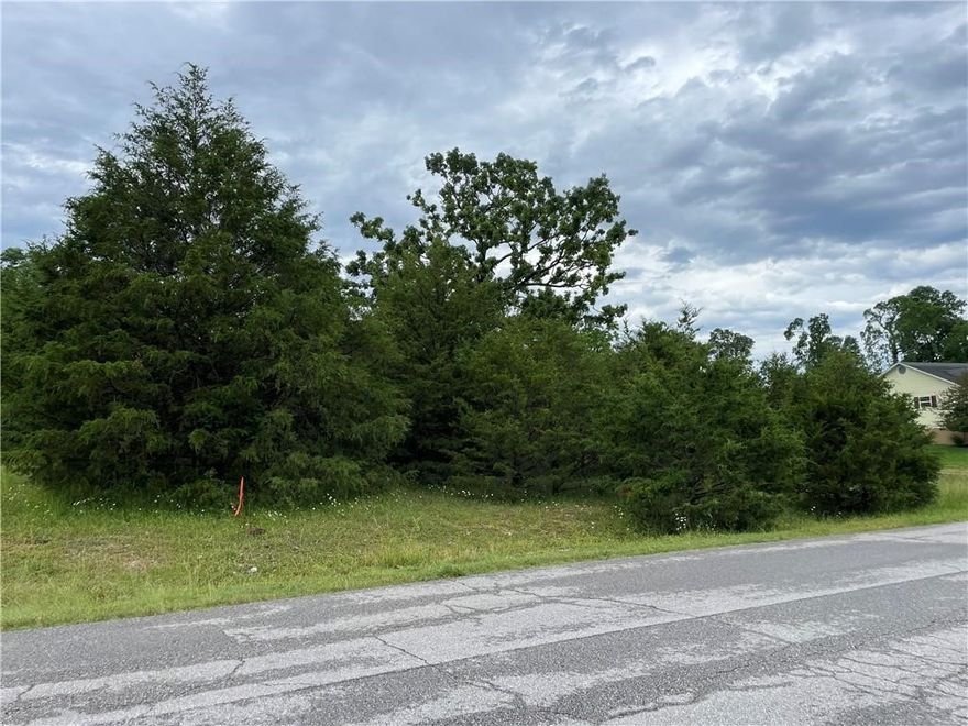 Rare Flat Lot Near the Lake – Perfect for Your Dream Home or Weekend Escape
Don't miss this exceptional opportunity to own one of the few remaining flat lots near the lake, nestled in a peaceful, well-established neighborhood. Whether you're planning a full-time residence or a relaxing weekend retreat.

Located right next to the community center, you’ll have easy access to outstanding amenities—tennis and pickleball courts, swimming pools, and a professionally designed 9-hole golf course are all just steps away. A short drive brings you to the full-service marina, swim beach, and fishing pier, making lakeside living effortless and enjoyable.

Golf enthusiasts will also love being just minutes from an 18-hole championship course, or the 9-hole course offering even more options for recreation.

With city water, sewer, and electricity available at the street, you’ll save thousands in utility hookup costs. This is your chance to enjoy everything Holiday Island has to offer—come see why this location stands out!