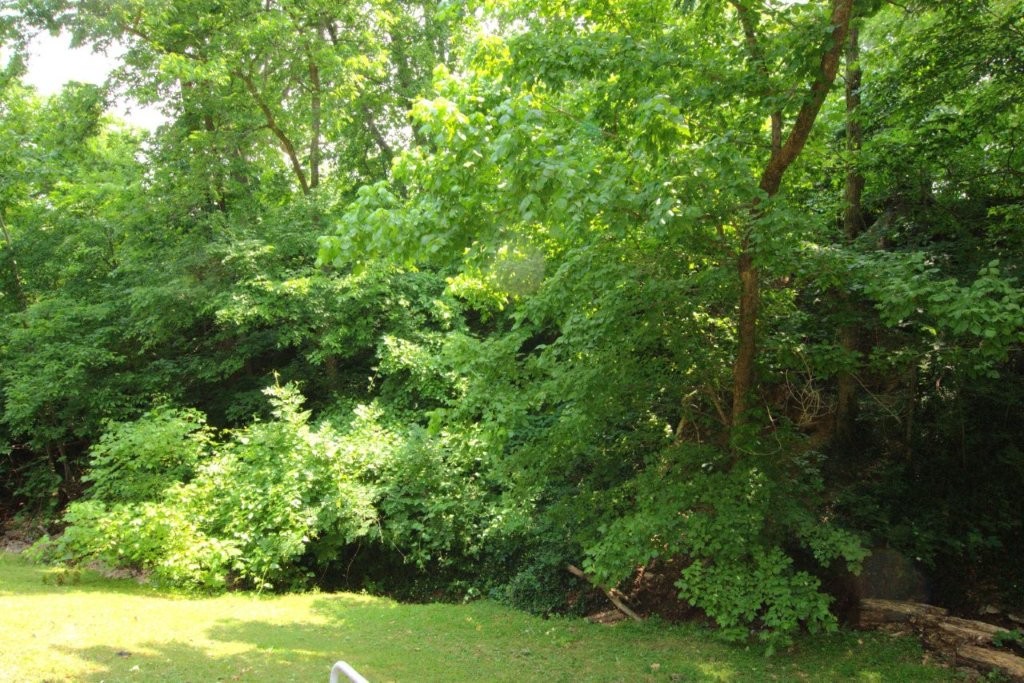 Townhouse Tct 3 A/K/A Drake Court Bvv - Residential