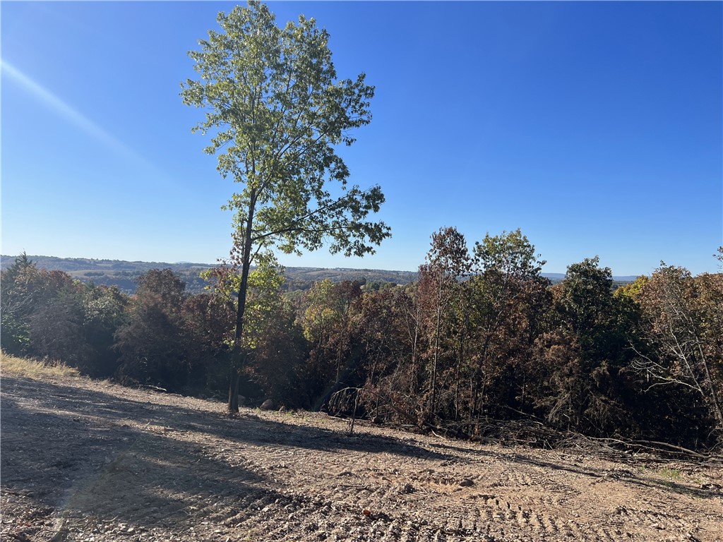Beautiful Ozark Mountain View with nice level building site. No restrictions. Electric available.