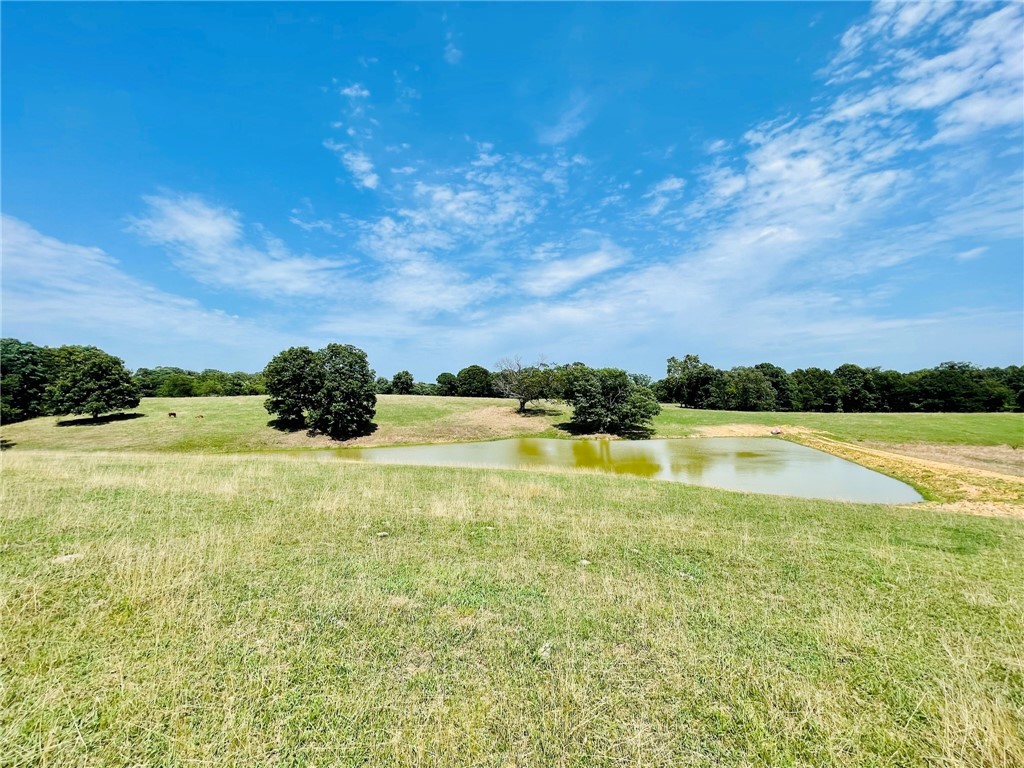 Gorgeous property in a peaceful setting! Property has rolling hills with flat areas on top for your dream home. Lots of potential whether its personal use, kept as pasture for cattle, or development. Fencing surrounds the whole property.