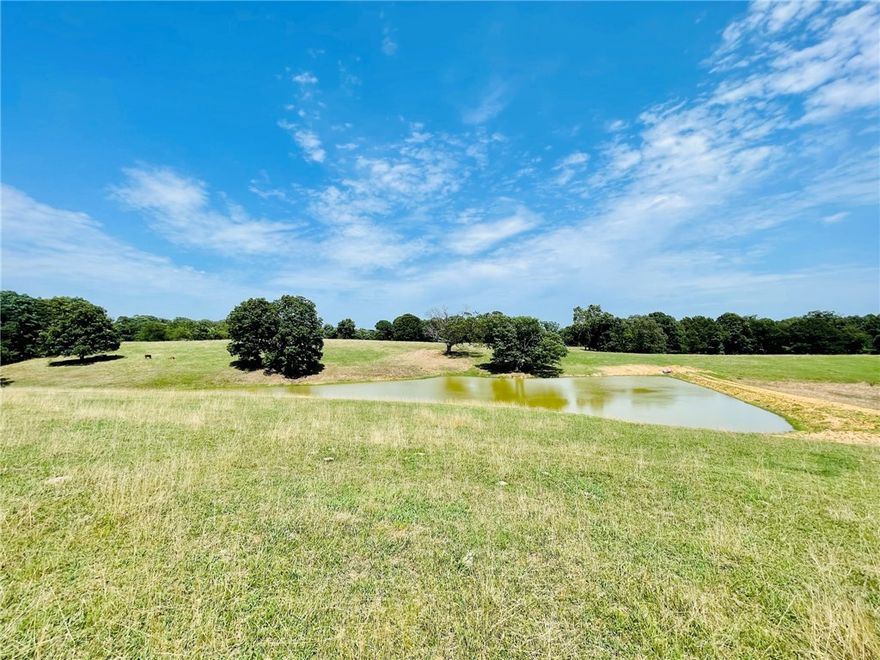 Gorgeous property in a peaceful setting! Property has rolling hills with flat areas on top for your dream home.  Lots of potential whether its personal use, kept as pasture for cattle, or development. Fencing surrounds the whole property.