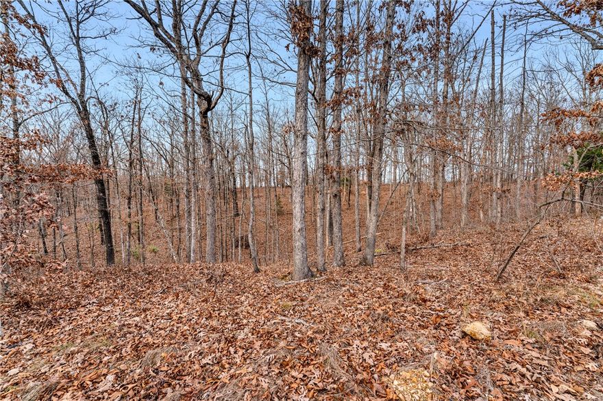 Beautiful wooded lot in Bella Vista, just minutes from Metfield Golf Course and Lake Brittany. Enjoy a private, tree-filled setting perfect for a future home or getaway. Close to golf, fishing, kayaking, trails, and Bella Vista amenities. A peaceful location offering nature, recreation, and convenience all in one