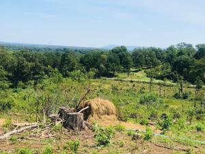 Hillcrest Estates Phase 1 - Land