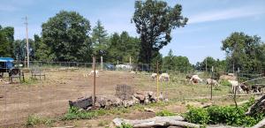 Hillcrest Estates Phase 1 - Land