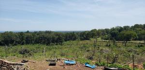 A beautiful spot to build your dream house on the top of 18 acres with beautiful scenery. Electric and water at the road. Currently being used for goats. No restrictions. Road frontage on 2 sides. Shale pit (1.5 acres) not adjoining property included in the 18.2 acres, but could be bought separably. Metal carport and shed to convey with the property.