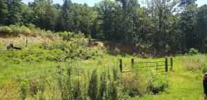 Hillcrest Estates Phase 1 - Land