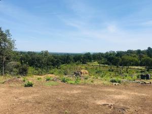 Hillcrest Estates Phase 1 - Land