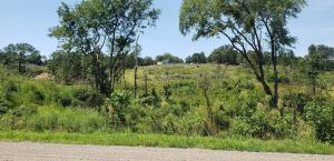 Hillcrest Estates Phase 1 - Land