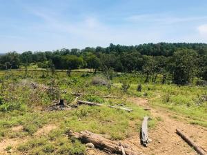 Hillcrest Estates Phase 1 - Land