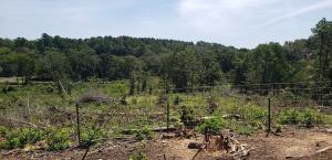 Hillcrest Estates Phase 1 - Land