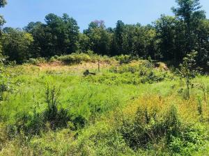 Hillcrest Estates Phase 1 - Land