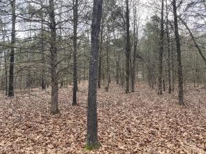 Nice wooded tract that joins Bull Shoals Lake Corp on 3 sides. End of road location with electric and phone available. Also there is a road walking trail down to the water.
