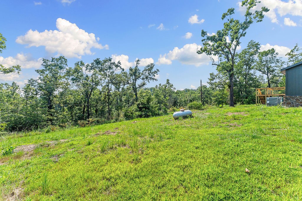 Monte Ne Shores - Residential