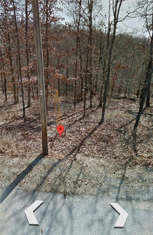 The perfect .28 acre lot is now on the market to build your dream home in a developing subdivision located in the Bentonville (Main) School District. Topography is wooded, level, and gently sloped. POA amenities include-108 holes of golf spread among seven golf courses, a golf range/practice center, seven private lakes, swimming pools, tennis, pickleball and basketball courts, miniature golf and playgrounds, walking trails, a gun range, an RV park and campground, and fitness and recreation centers along with other beautiful trails in Bella Vista. Convenient and perfect location!
