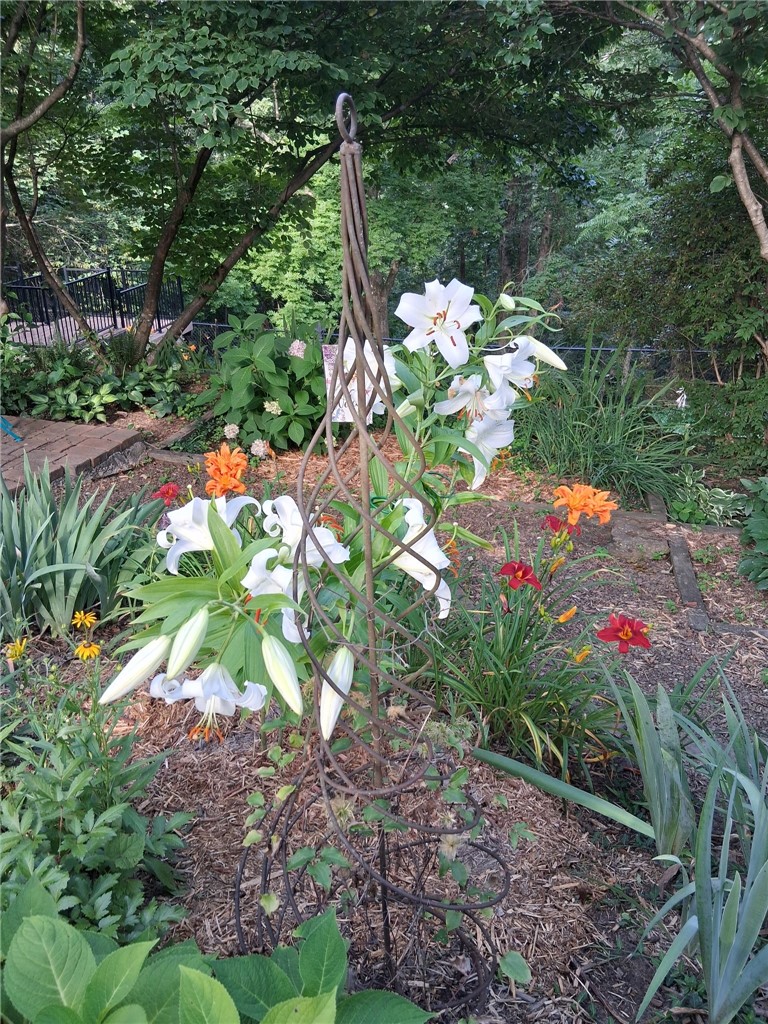 Dream Valley 10 Rurban - Residential