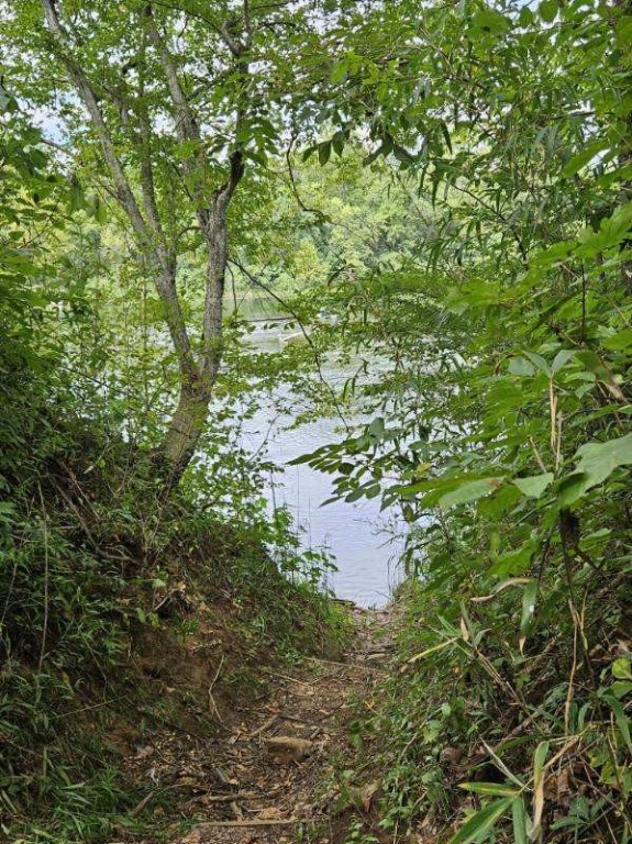 White River Estates - Land