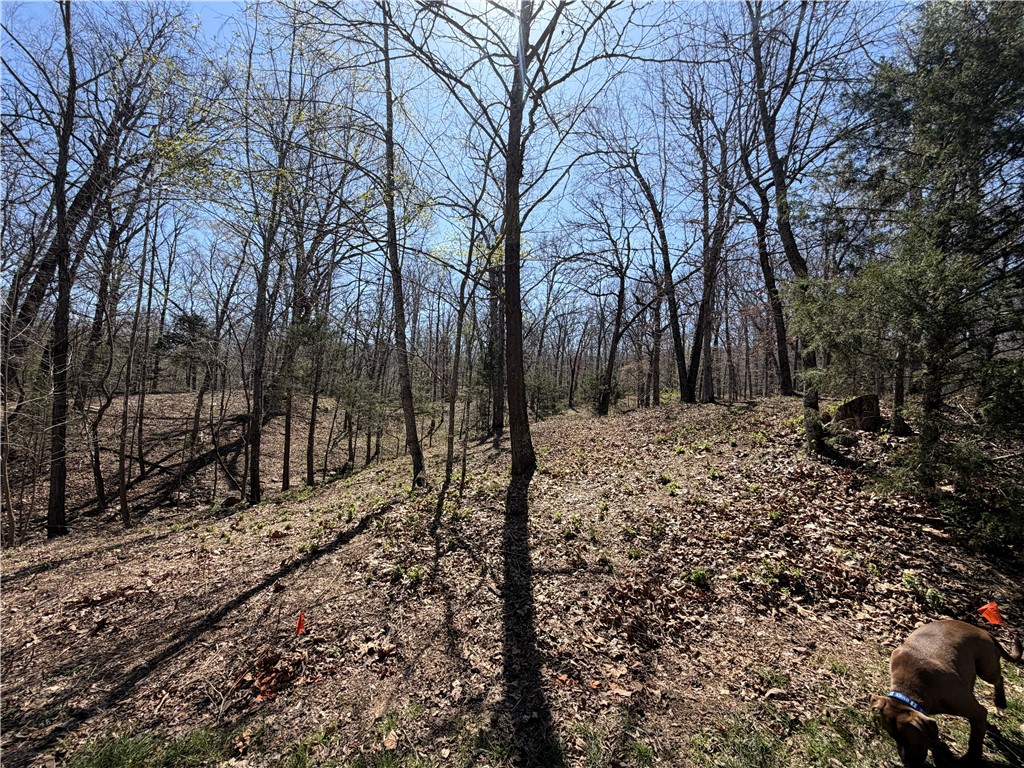 Bridlewood Sub Ph I - Land