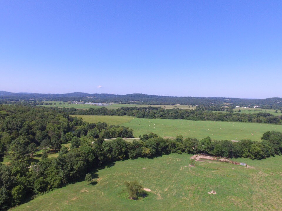 146 acres along the White River in Elkins. 2 gorgeous homes (apprx 1200 sq ft each) with two stocked ponds (hybrid black bass, catfish and crappie). Ponds water controlled through irrigation pipes and rainwater. This farm has not had chemicals used and could be farmed for an all organic farm. A full garden that is watered off the pond is on the property as well. Property set up as an equine and cattle farm with first class stable and fencing suitable for cattle and horses. Property is abundant in wildlife with creeks as well as a natural spring on the property. Property close to hwy 16 with highway frontage on mt olive road.