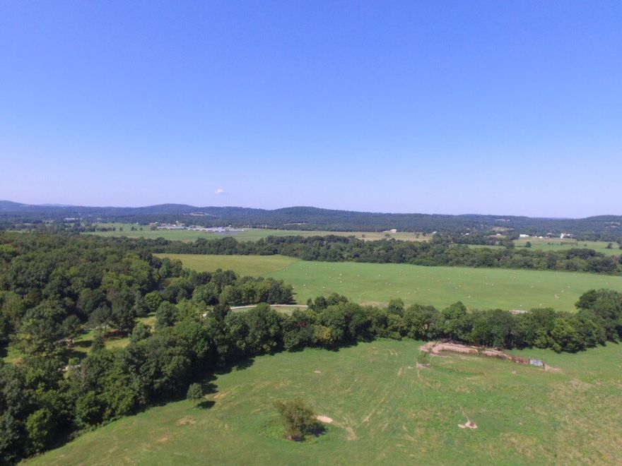 146 acres along the White River in Elkins.  2 gorgeous homes (apprx 1200 sq ft each) with two stocked ponds (hybrid black bass, catfish and crappie).  Ponds water controlled through irrigation pipes and rainwater.  This farm has not had chemicals used and could be farmed for an all organic farm.   A full garden that is watered off the pond is on the property as well.  Property set up as an equine and cattle farm with first class stable and fencing suitable for cattle and horses.  Property is abundant in wildlife with creeks as well as a natural spring on the property.  Property close to hwy 16 with highway frontage on mt olive road.