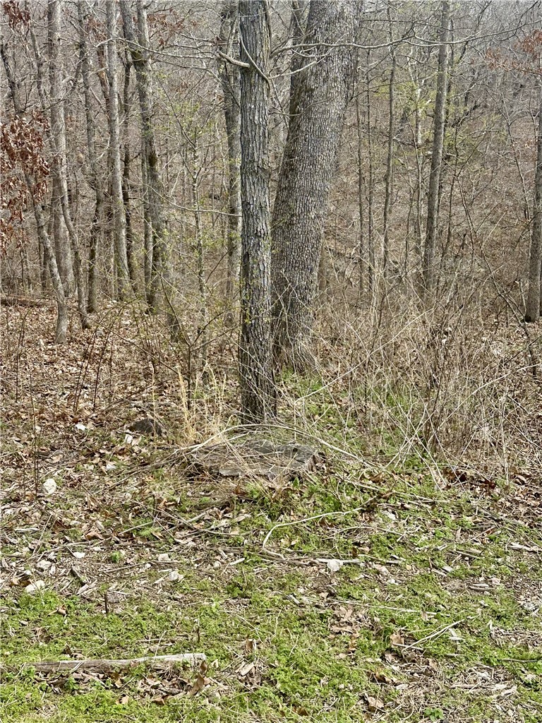 Islay Sub Bvv - Land