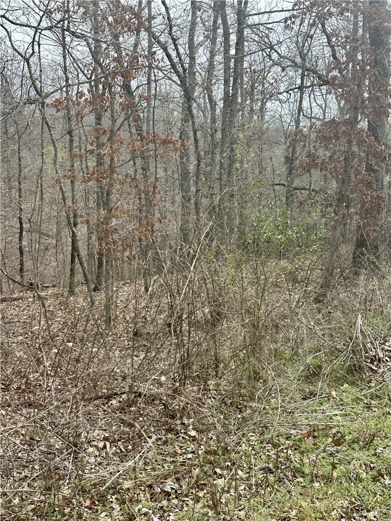 Islay Sub Bvv - Land