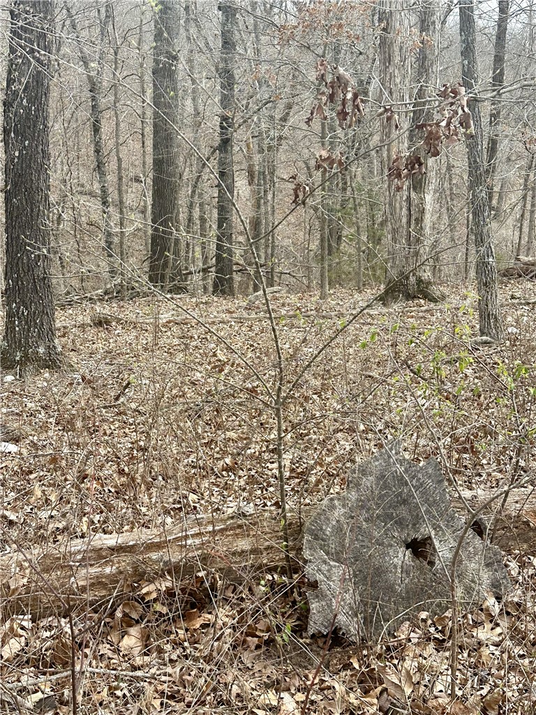 Islay Sub Bvv - Land