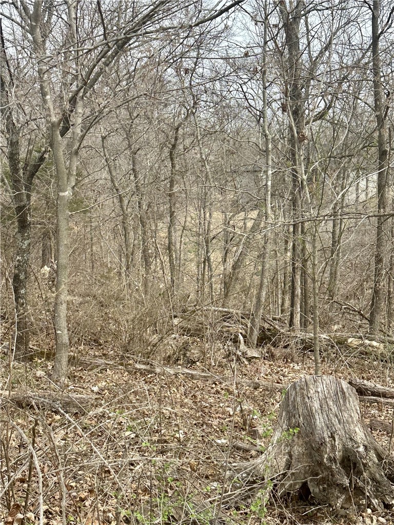 Islay Sub Bvv - Land