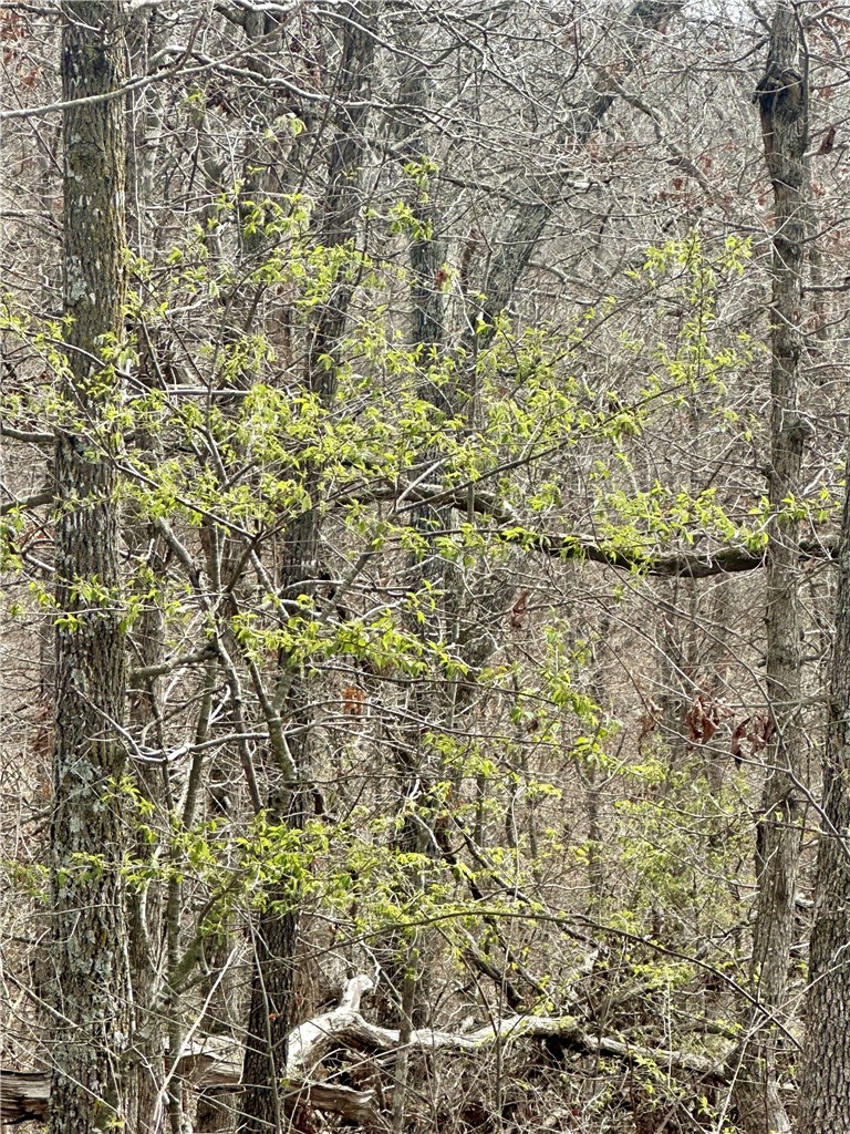 Islay Sub Bvv - Land