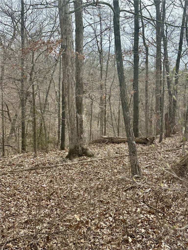 Islay Sub Bvv - Land