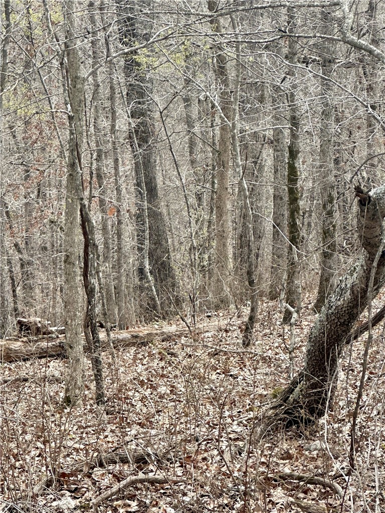 Islay Sub Bvv - Land