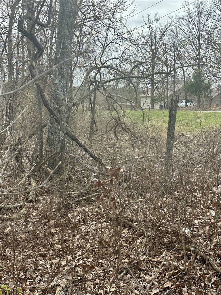 Islay Sub Bvv - Land