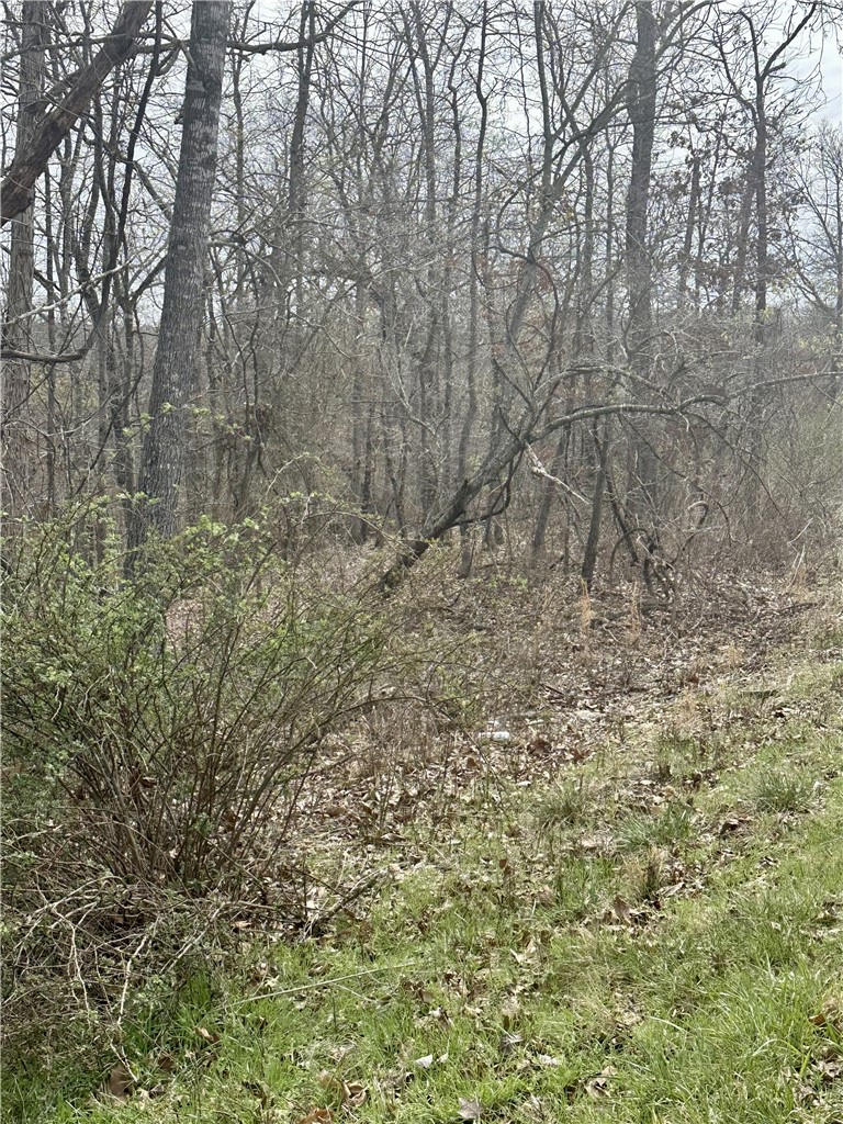 Islay Sub Bvv - Land