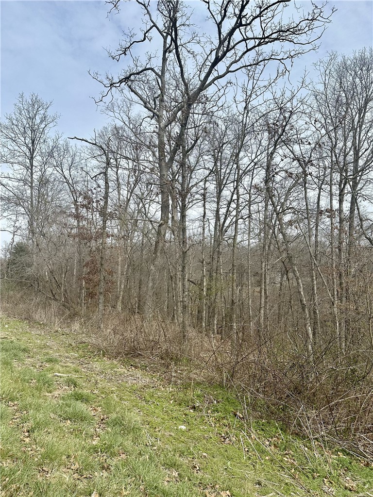 Islay Sub Bvv - Land