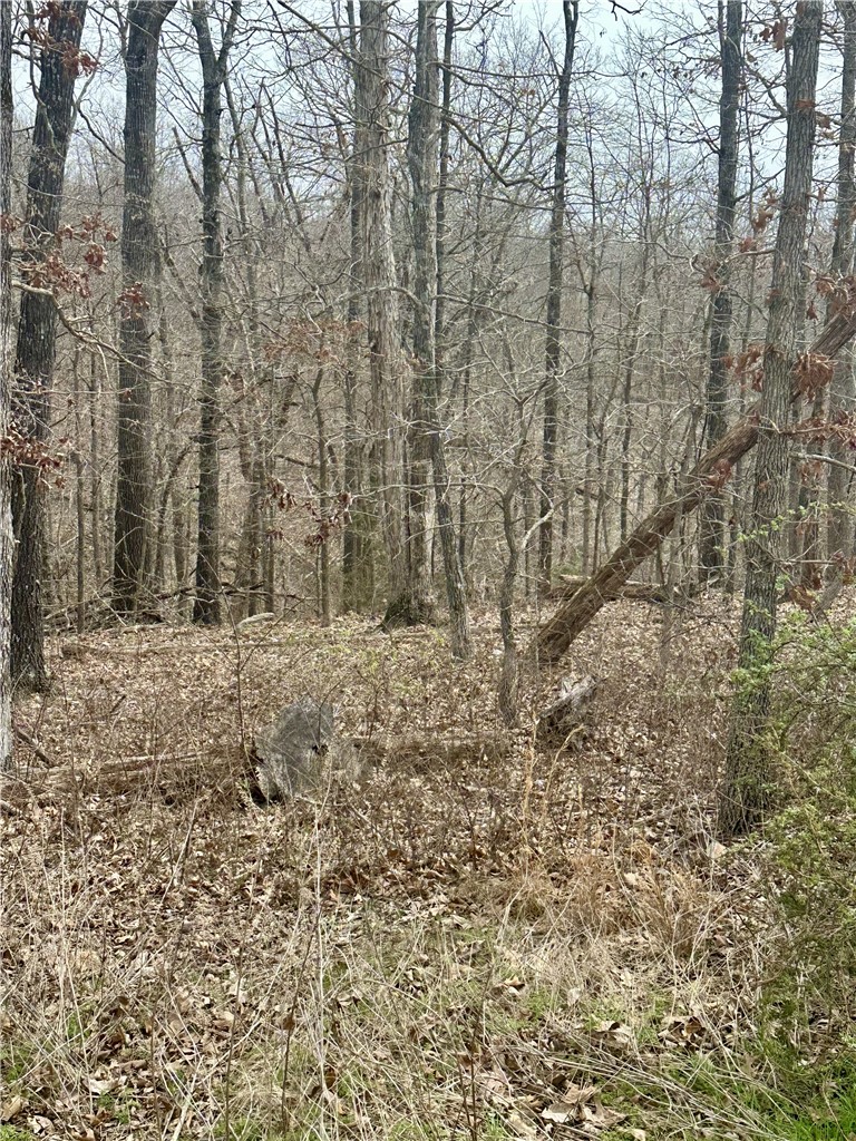 Islay Sub Bvv - Land