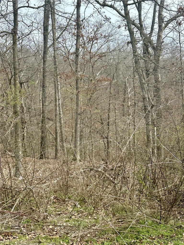 Islay Sub Bvv - Land