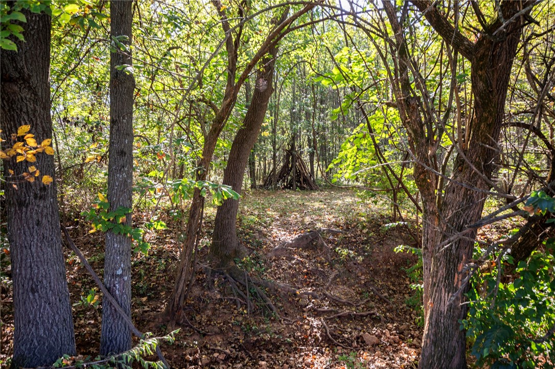 Hyde Park - Residential