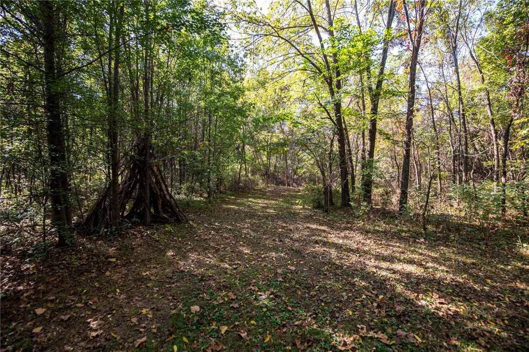 Hyde Park - Residential