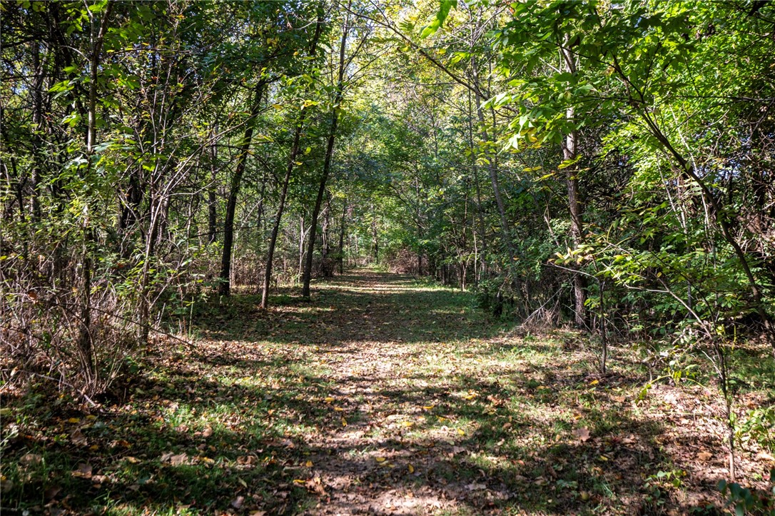 Hyde Park - Residential