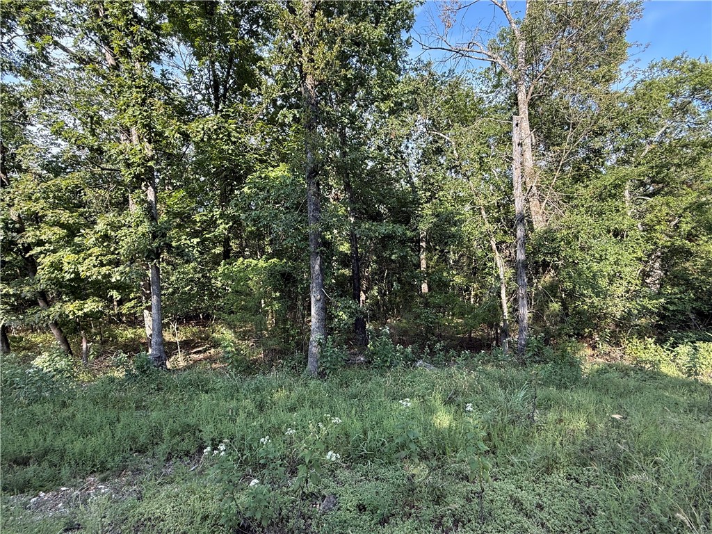 What a beautiful wooded property located on Holiday Island! It is just shy of an acre with lots of room to build a home or place a mobile home. Property goes back towards Stateline. Close to Sunfest, banks, restaurants, the post office, gas station & hardware store. A short 10 min drive to the marina, near both golf courses, recreation center and swimming pools. A great area with a lot of amenities to explore! A short 15 min drive to Eureka Springs, 30 mins to Roaring River or 45 minutes to Branson.