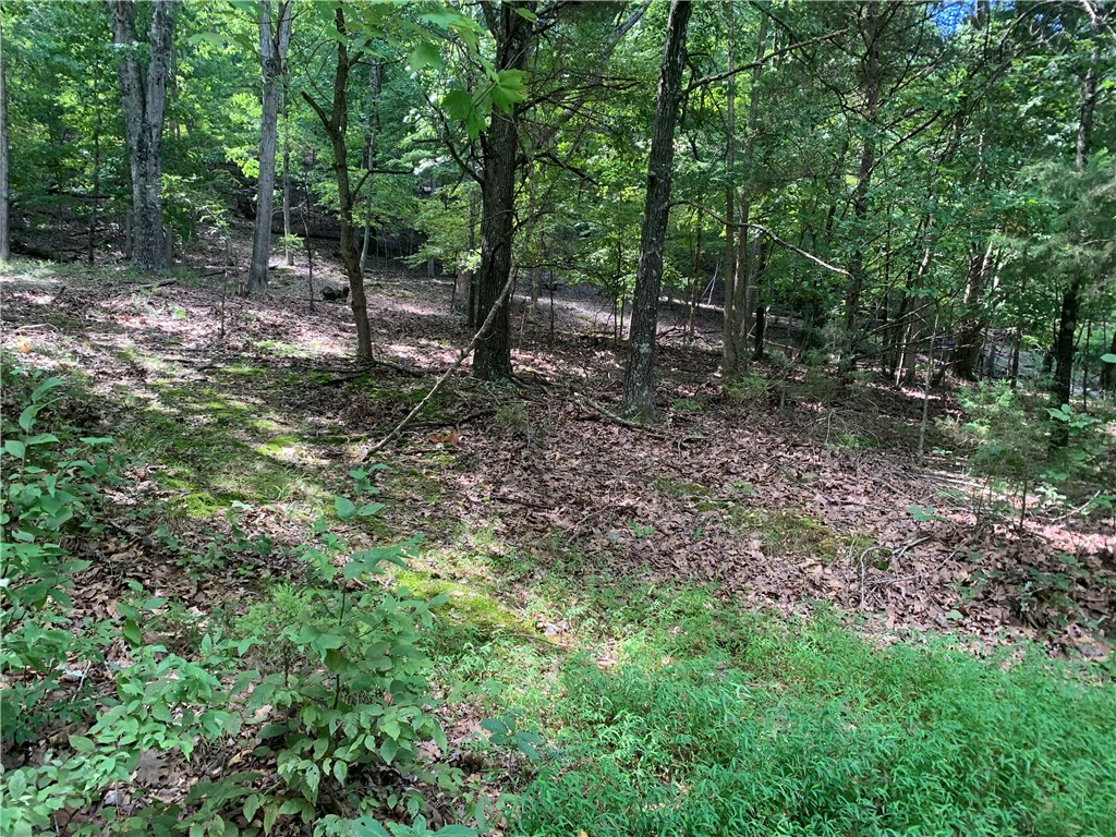 These 11.89 acres are perfect for secluded country living, with easy access to town; a homesteader's dream. Numerous wildlife can be found throughout the property. Lost Bridge Marina and Beaver Lake are less than 10 minutes away. There are two building sites that already have the water well and septic system on the property. Perfect opportunity to build your dream home and shop!