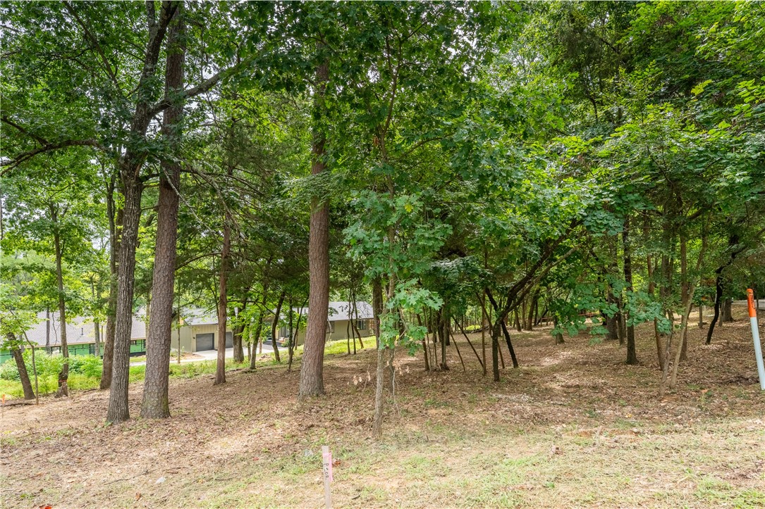 Fayetteville Original - Land