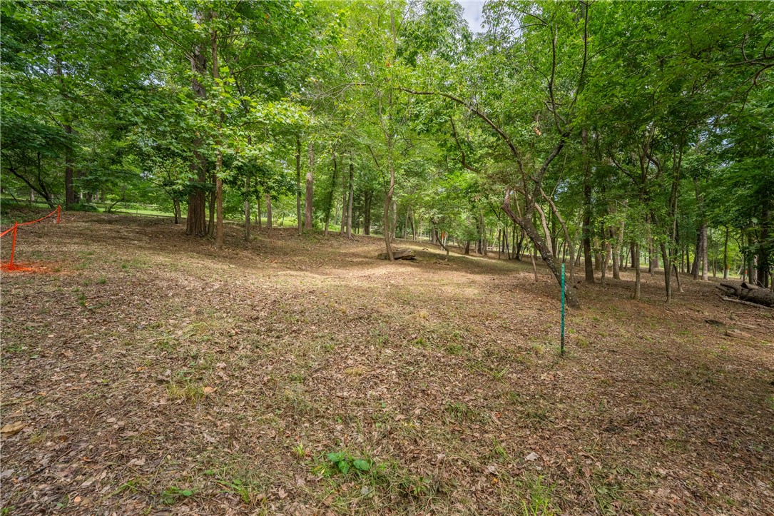 Fayetteville Original - Land