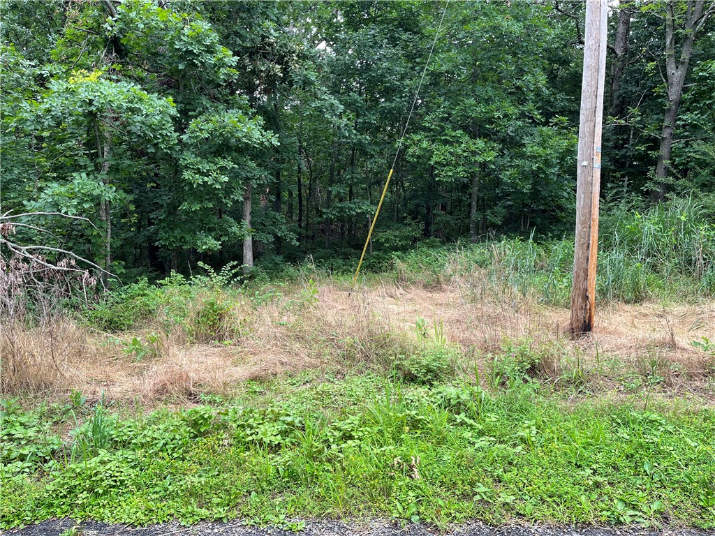 Nestled in a quiet cul-de-sac just a 5 min walk (.2 miles) to the Loch Lomond boat ramp and a 4 min drive (1.6 miles) to the Branchwood Recreation center. This beautifully wooded lot would offer your home secluded peace with convenient travel to any activities Bella Vista has to offer. The short commute to I-49 makes it possible for anyone looking to live in NWA.